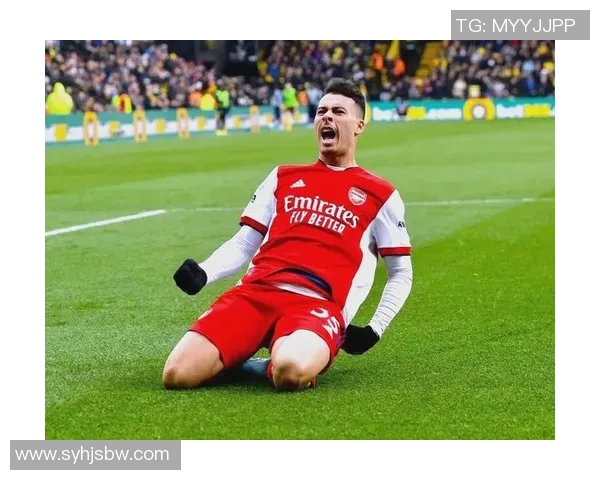 马丁内利的崛起之路：从青涩少年到足球场上的璀璨明星