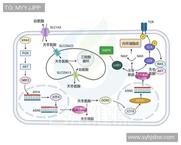 拉波尔特的传奇人生与科学探索之旅:从基础研究到前沿技术的启示 拉波尔特的传奇人生与科学探索之旅:从基础研究到前沿技术的启示