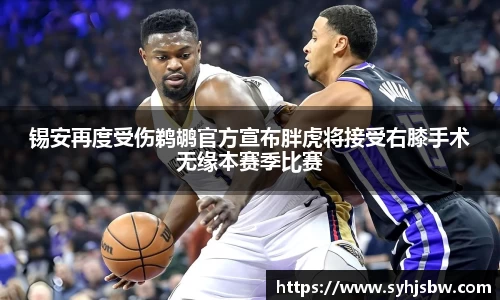 锡安再度受伤鹈鹕官方宣布胖虎将接受右膝手术无缘本赛季比赛