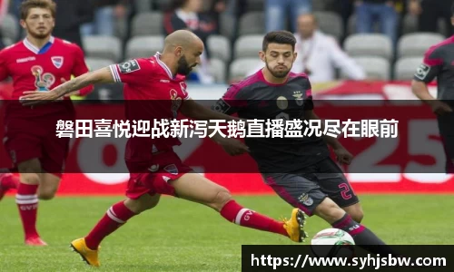 磐田喜悦迎战新泻天鹅直播盛况尽在眼前